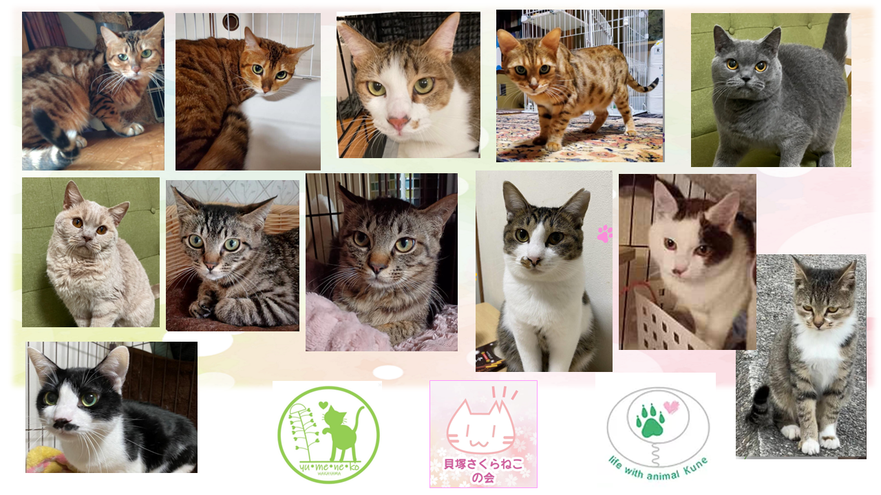 泉南動物病院画像