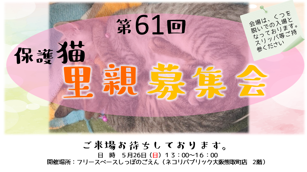 泉南動物病院画像