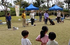 泉南動物病院画像