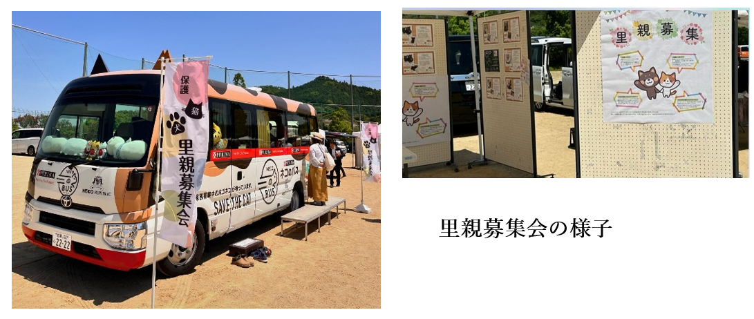 泉南動物病院画像