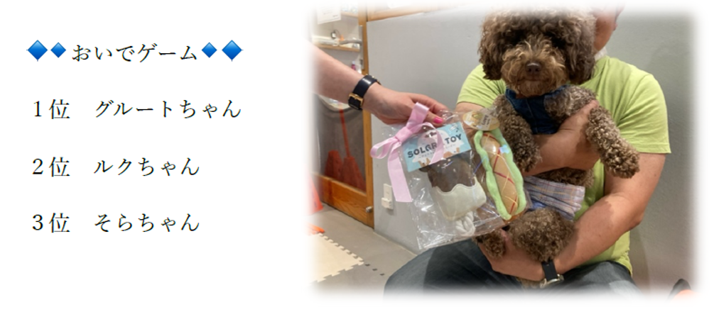 泉南動物病院画像