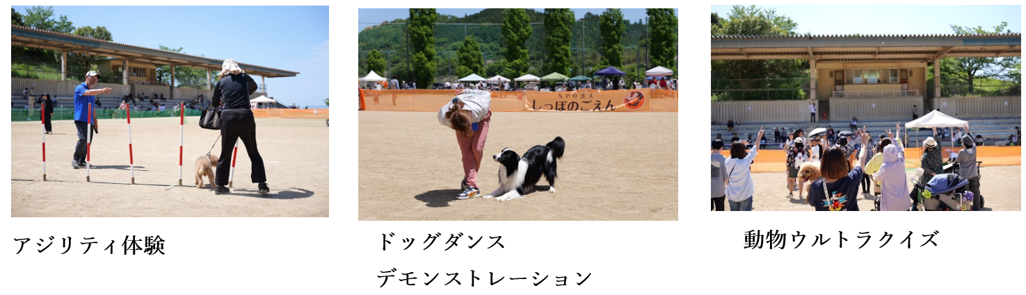泉南動物病院画像