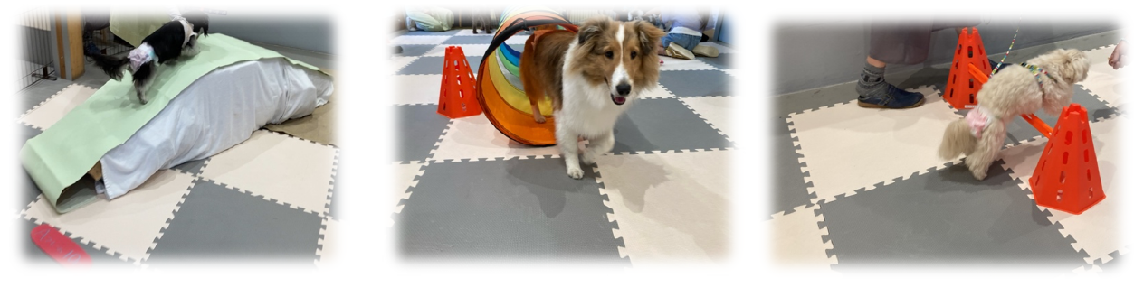 泉南動物病院画像
