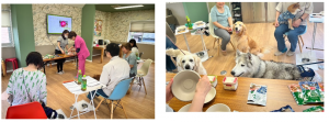 泉南動物病院画像