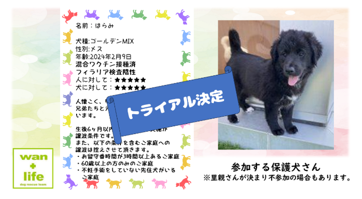 泉南動物病院画像