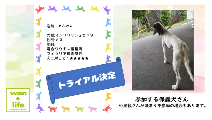 泉南動物病院画像