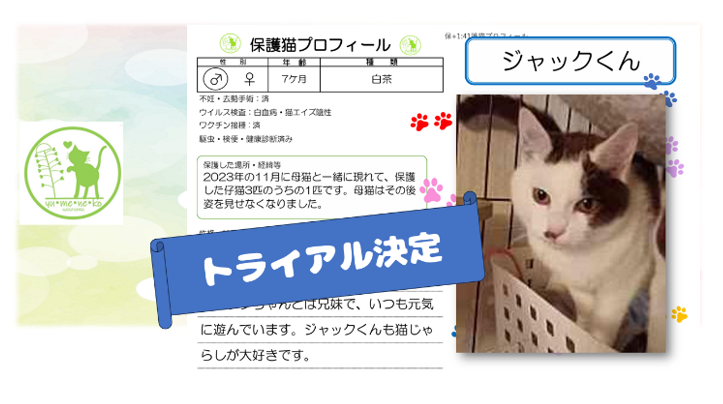 泉南動物病院画像