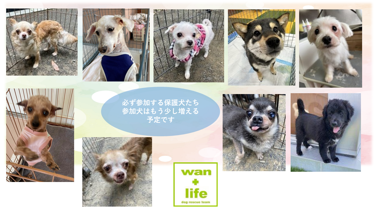泉南動物病院画像
