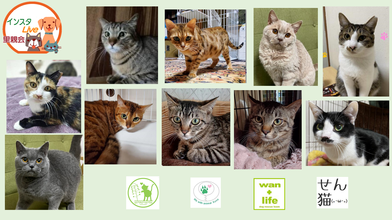 泉南動物病院画像