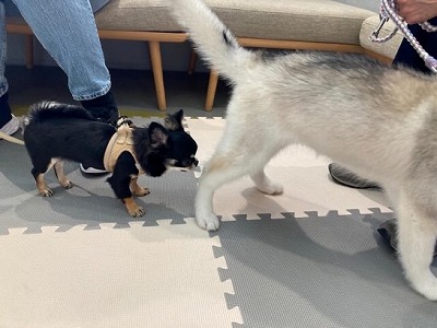 泉南動物病院画像