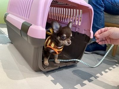 泉南動物病院画像