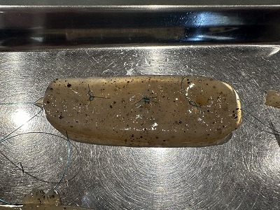 泉南動物病院画像