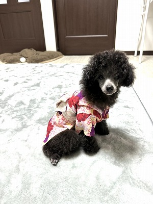 泉南動物病院画像