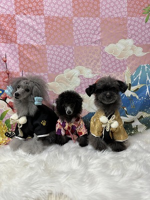 泉南動物病院画像