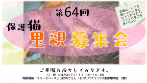 泉南動物病院画像