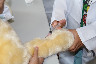 泉南動物病院画像