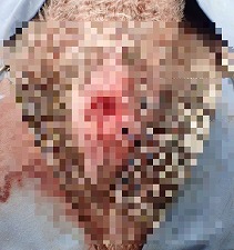 泉南動物病院画像