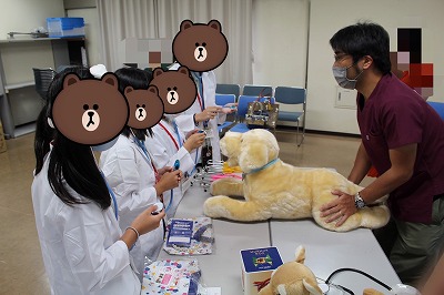 泉南動物病院画像