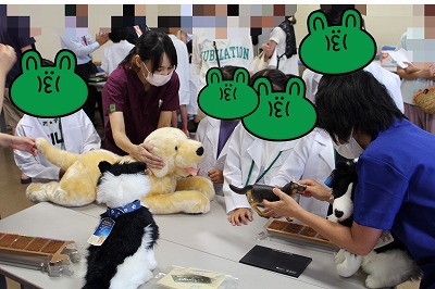泉南動物病院画像