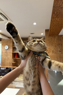 泉南動物病院画像