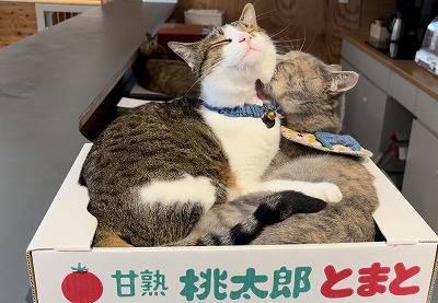 泉南動物病院画像