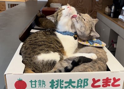 泉南動物病院画像