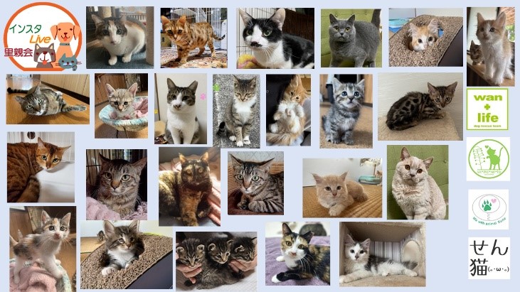 泉南動物病院画像