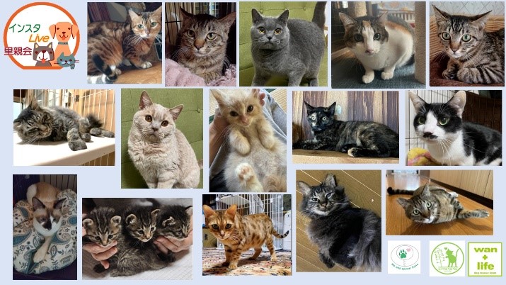 泉南動物病院画像