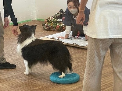 泉南動物病院画像