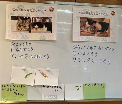 泉南動物病院画像