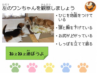 泉南動物病院画像
