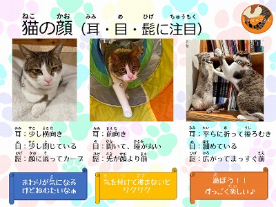 泉南動物病院画像