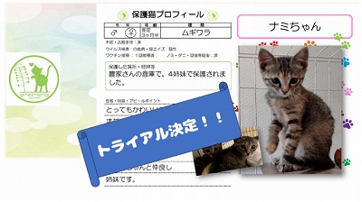 泉南動物病院画像
