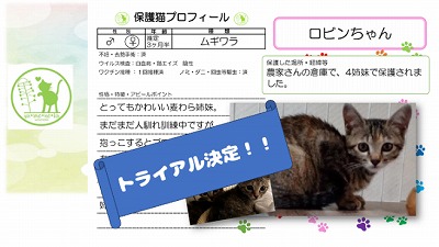 泉南動物病院画像