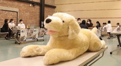 泉南動物病院画像