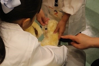 泉南動物病院画像