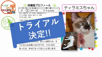 泉南動物病院画像
