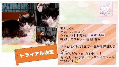 泉南動物病院画像