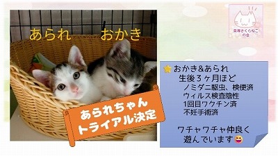 泉南動物病院画像