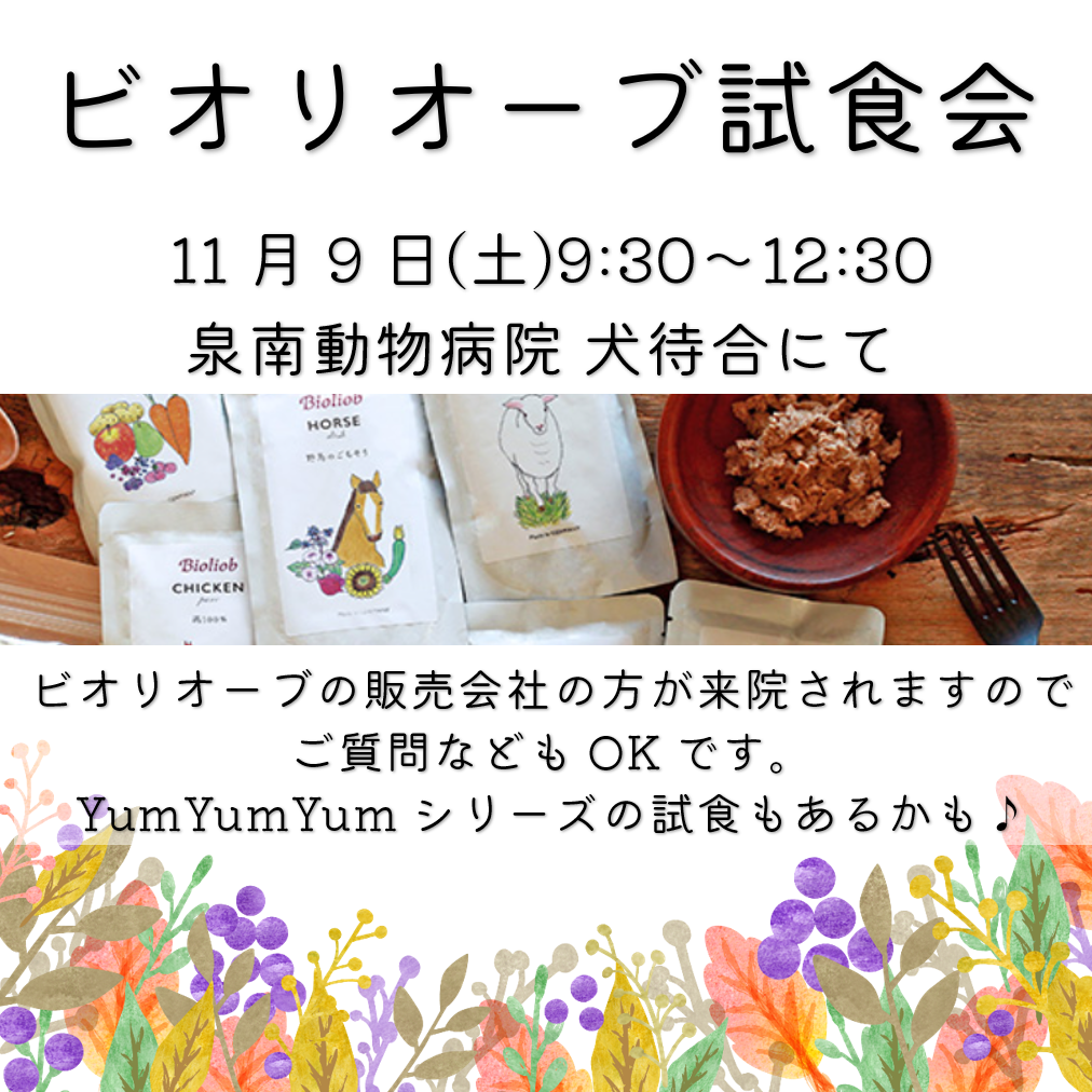 泉南動物病院画像