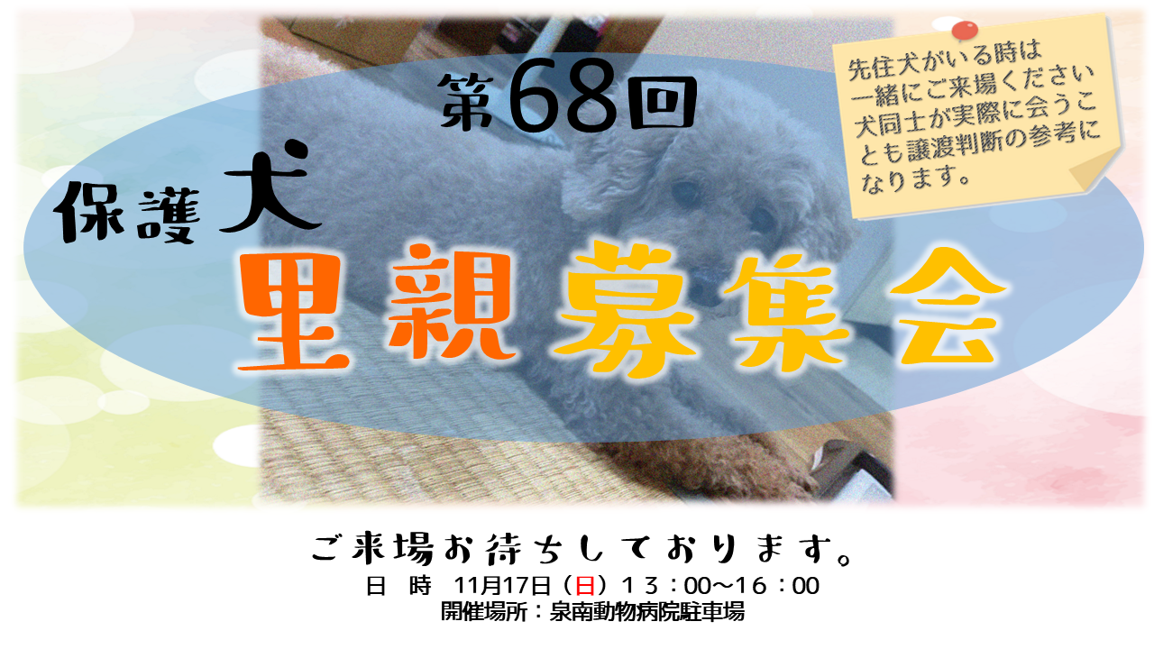 泉南動物病院画像