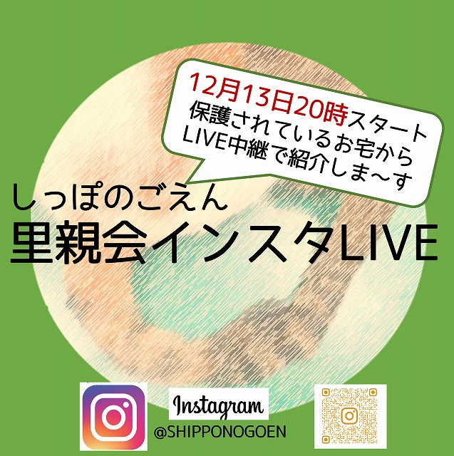 泉南動物病院画像