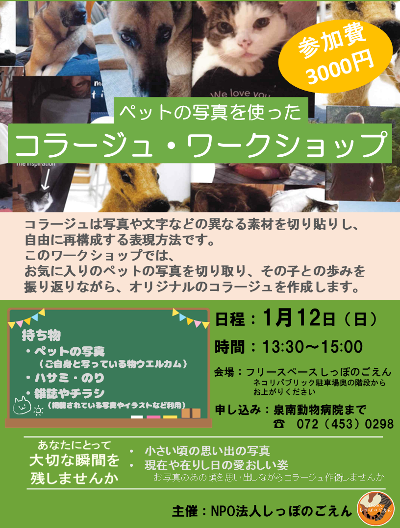 泉南動物病院画像