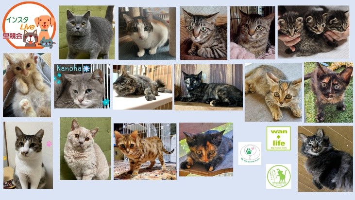 泉南動物病院画像