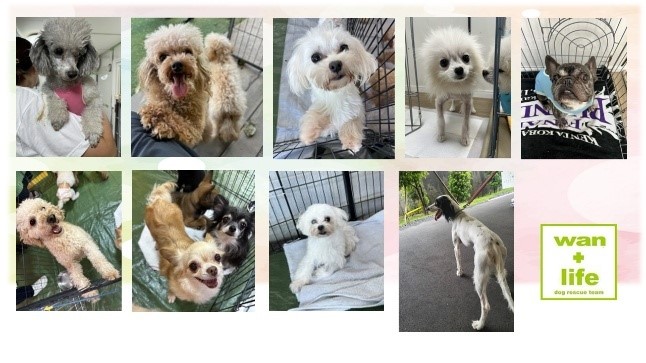 泉南動物病院画像