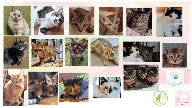 泉南動物病院画像