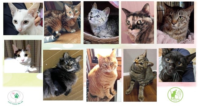 泉南動物病院画像
