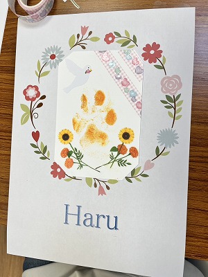 泉南動物病院画像
