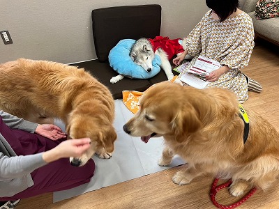 泉南動物病院画像