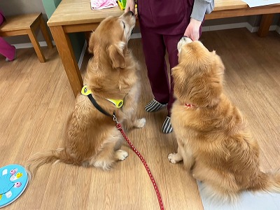 泉南動物病院画像